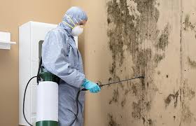 Trusted Maple Bluff, WI Mold Removal & Remediation Experts